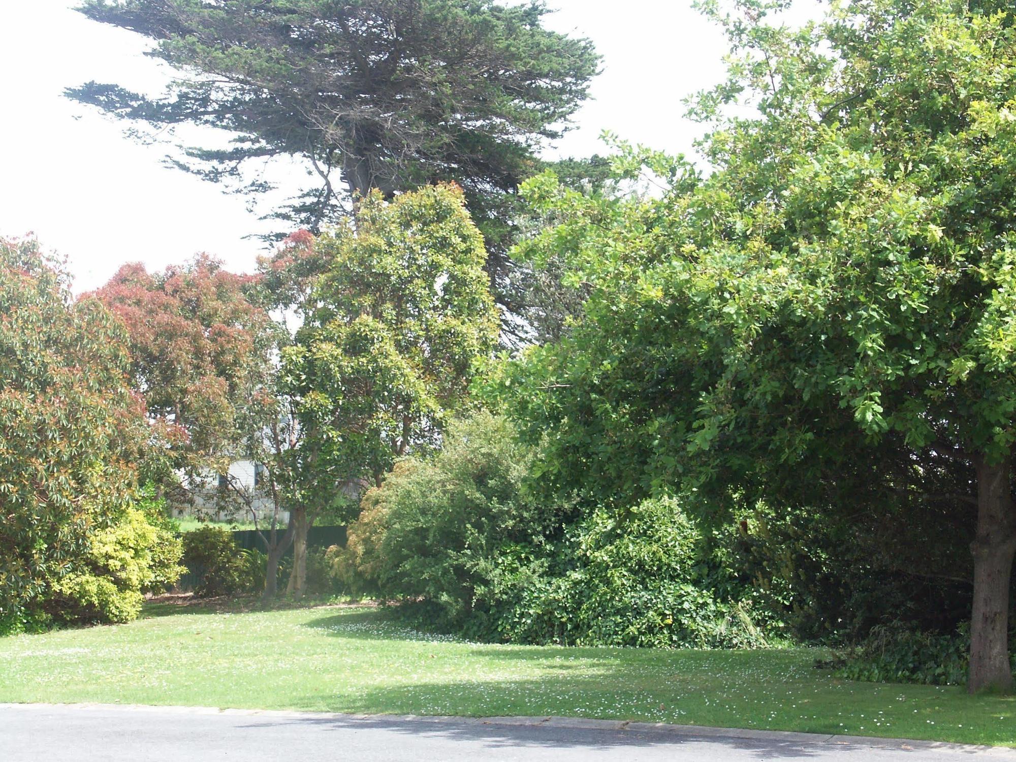 Melaleuca Motel Portland Esterno foto